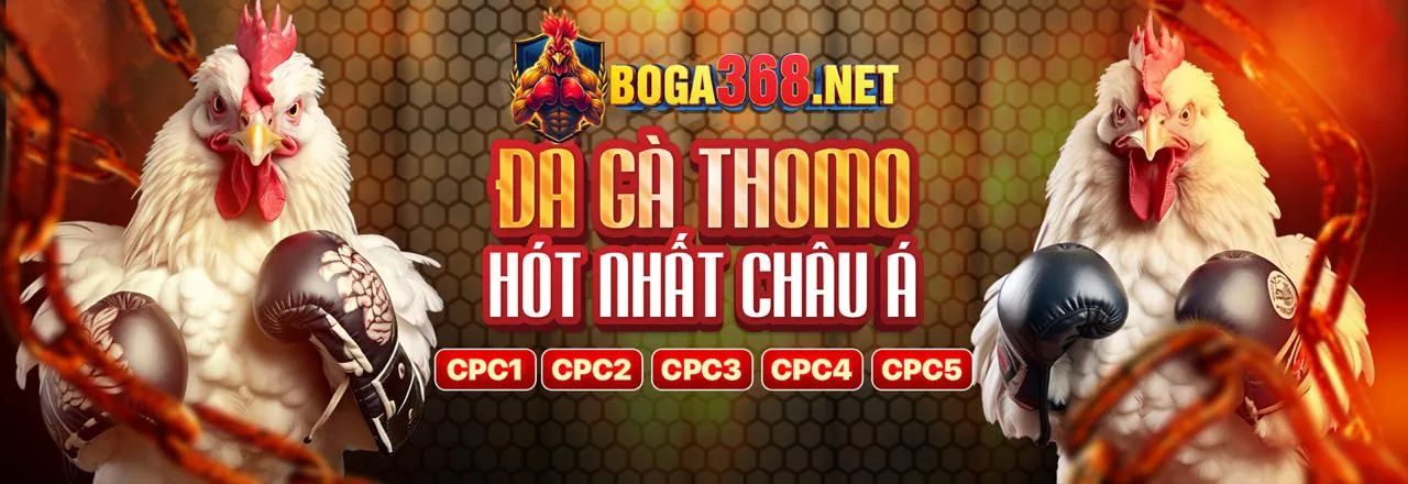 Thông báo mới nhất của đại lý SV288